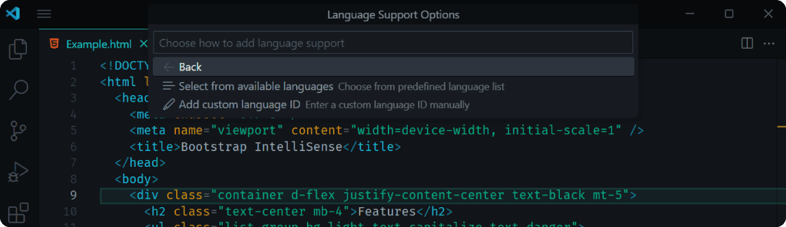 Custom Language Support